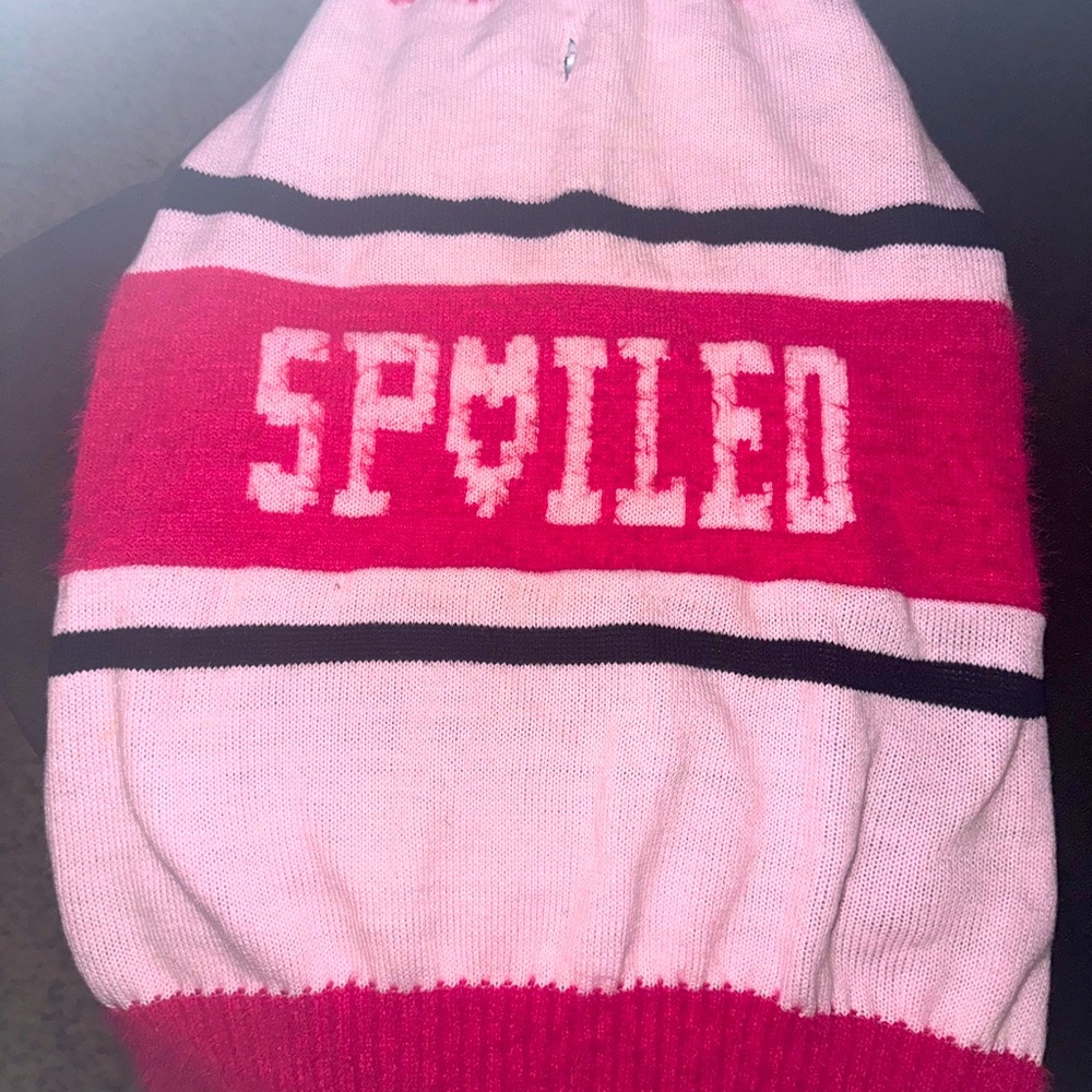 Fuzzy dog sweater